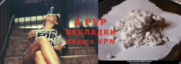 дурь Богданович