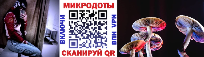 Галлюциногенные грибы MAGIC MUSHROOMS  Калининец 